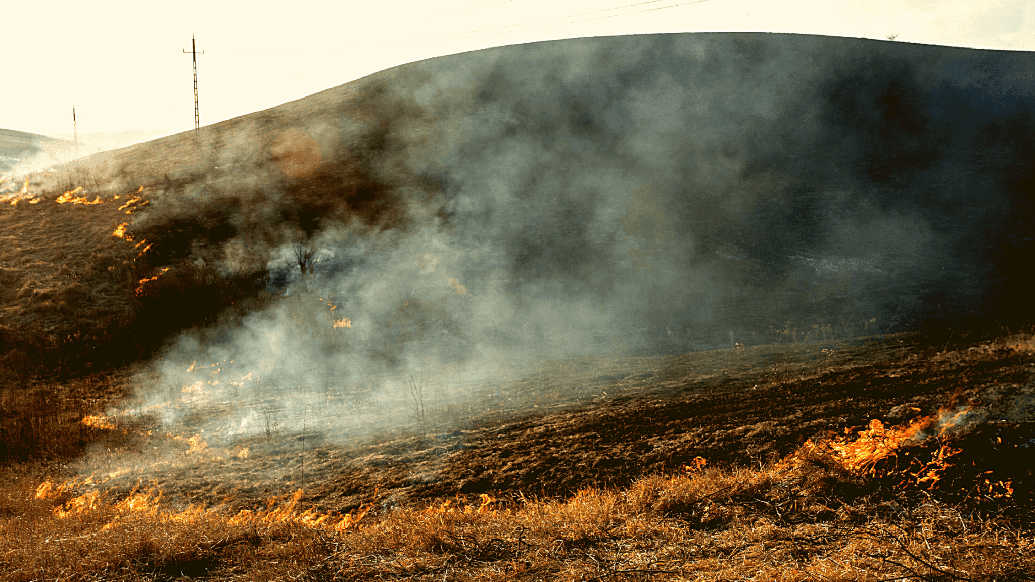 Research & Development